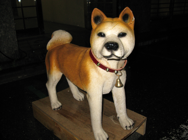 akita03.JPG