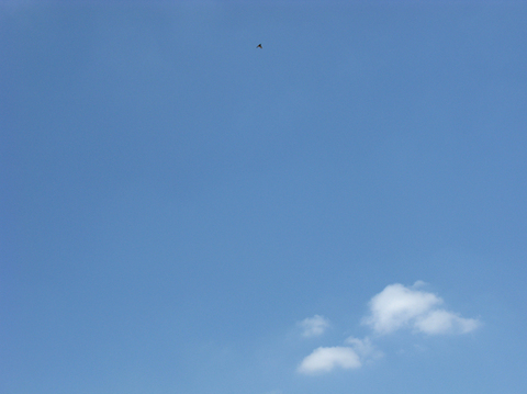 sora090509.jpg